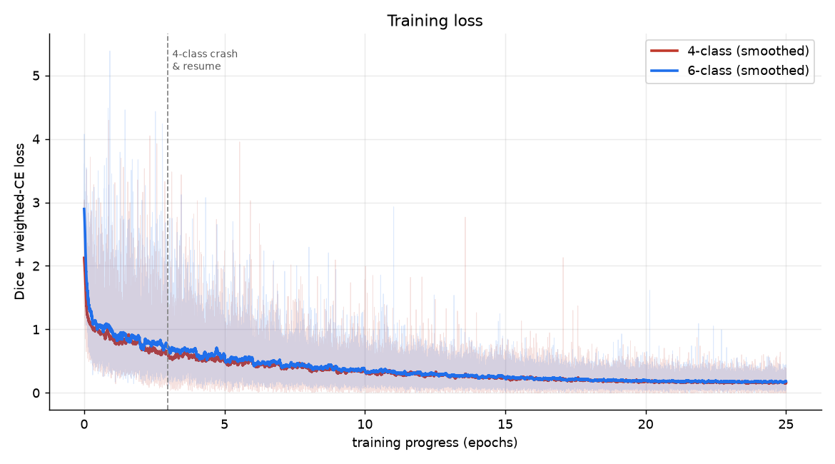 Training loss falling steadily for both runs, raw per-step loss as a faint spray behind smoothed bold lines, with a dashed line marking the 4-class crash and resume